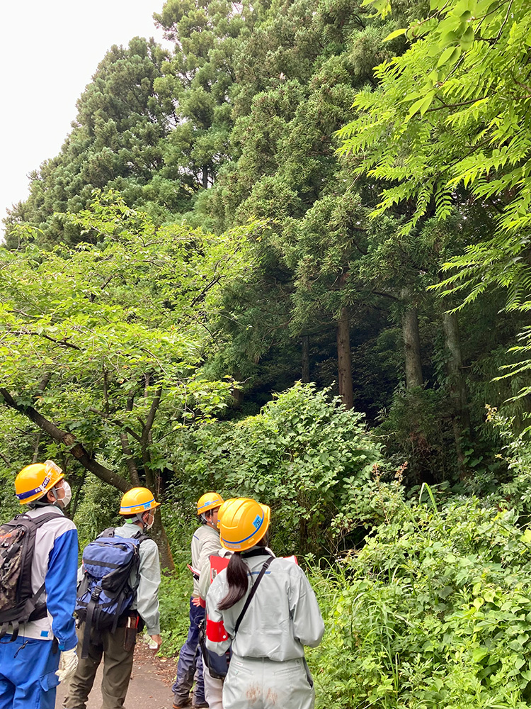 田海工場緑地の自然環境調査